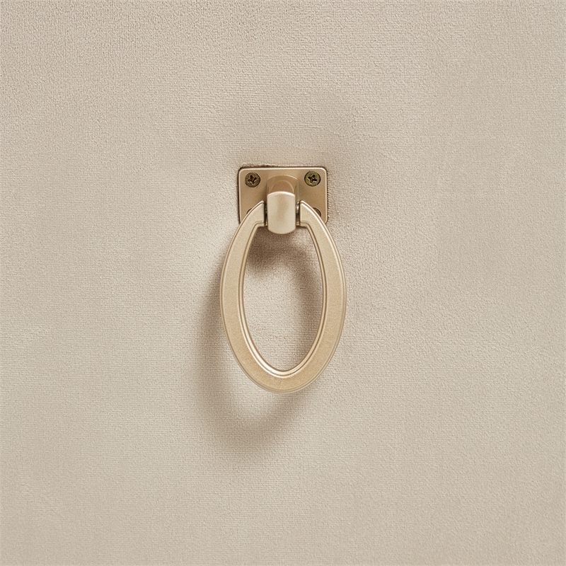 Michael Amini Villa Cherie Velvet Side Chair in Hazelnut Brown (Set of 2)