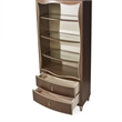 Michael Amini Villa Cherie Wood Bookcase with 2 Drawers in Hazelnut Brown
