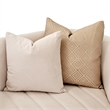 Ariana Velvet Loveseat in Beige and Gold