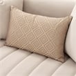 Ariana Velvet Loveseat in Beige and Gold