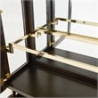 Michael Amini Belmont Place Display Cabinet in Espresso