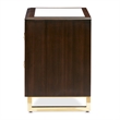 Michael Amini Belmont Place 2-Drawer Contemporary Wood Nightstand in Espresso