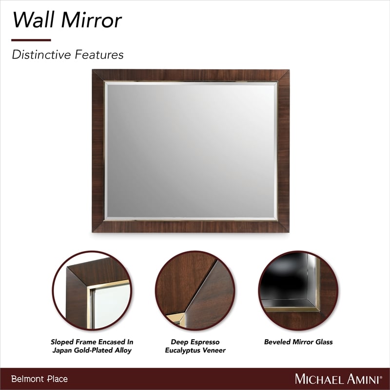 Michael Amini Belmont Place Contemporary Wood Wall Mirror in Espresso