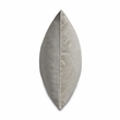 Moonbeam Moro 19