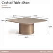Michael Amini Canberra Short Cocktail Table - Light Ash