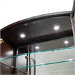 Michael Amini Camellia Field Display Cabinet in Warm Pecan