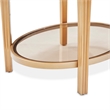 Michael Amini Camellia Field End Table with Drawer in Warm Pecan