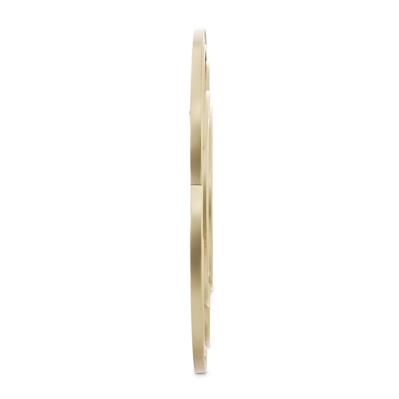 Camellia Field Wall Accent Mirror - Antique Gold