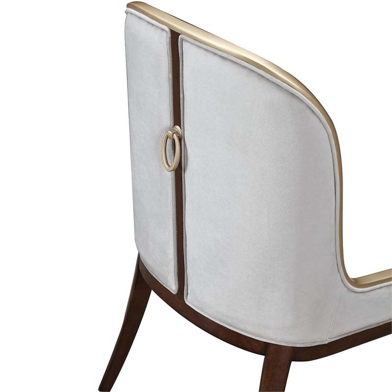 Houston Dining Side Chair - Set of 2 - Porcini/Walnut