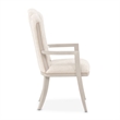 Fantosini Chenille Dining Arm Chair - Set of 2 - Cappuccino/Silver Mist