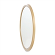 Fantosini Wall Accent Mirror - Gold