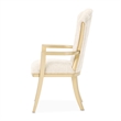 Fantosini Dining Arm Chair - Set of 2 - Natural/Gold