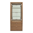 Portrait Display Cabinet with LED Lighting - Sienna Brown