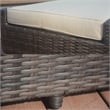 Patio Brown Rattan Outdoor Chaise Lounge Set with Table (Set of 2)
