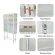 Tall 2-Door Square 3 Shelf Steel Accent Cabinet with Fluted Glass-White