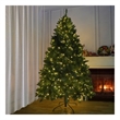 Direct Wicker 7FT Pre-Lit Christmas Tree With 550 LED Lights & Metal Stand