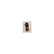 D-Art Collection Teak/Mahogany Solid Wood Sitting African Lion Statue in Brown