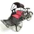 D-Art Collection Tin Metal and Iron Penang Ricksaw in Copper/Chrome