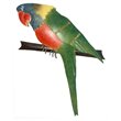 D-Art Collection Tin Metal and Iron Parrot Wall Decor in Green
