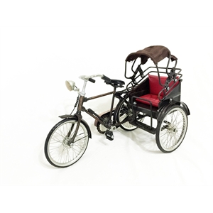 D-Art Collection Tin Metal and Iron Mandarin Bicycle in Copper/Chrome