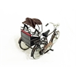 D-Art Collection Tin Metal and Iron Mandarin Bicycle in Copper/Chrome