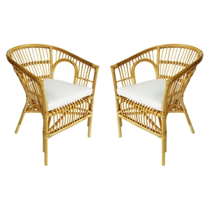 D-Art Collection Rattan Kiko Chair SET 2 PCS in Rattan