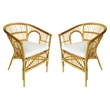 D-Art Collection Rattan Kiko Chair SET 2 PCS in Rattan