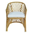 D-Art Collection Rattan Palm Chair in Rattan