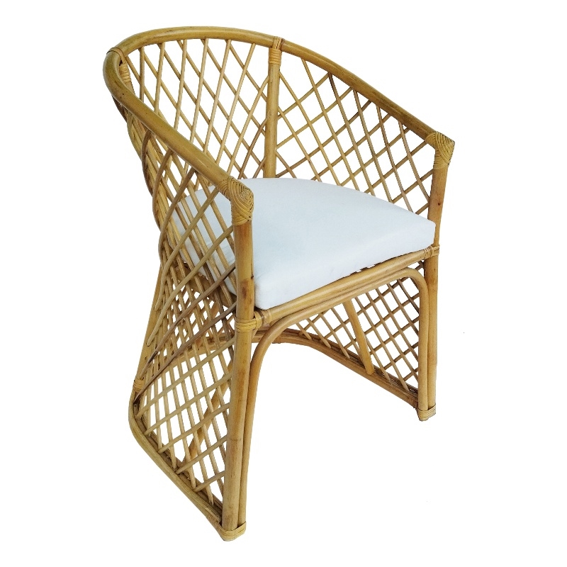 D-Art Collection Rattan Palm Chair in Rattan