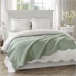 Madison Park Cotton Oversized Quilted Throw with Scalloped Edges in Green