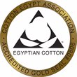 Madison Park Signature Luce 6-Piece Egyptian Cotton Towel Set in White
