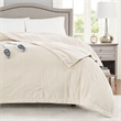 Beautyrest Polyester Knitted Micro Fleece Solid Textured Heated Blanket in Ivory