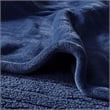 Beautyrest Polyester Solid Knitted Microlight Heated Blanket in Blue