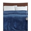 Beautyrest Polyester Solid Knitted Microlight Heated Blanket in Blue