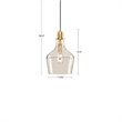 Hampton Hill Auburn 1-light Transitional Glass and Metal Pendant in Gold