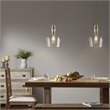 Hampton Hill Auburn 1-light Transitional Glass and Metal Pendant in Gold