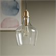 Hampton Hill Auburn 1-light Transitional Glass and Metal Pendant in Gold