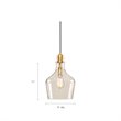 Hampton Hill Auburn 1-light Transitional Glass and Metal Pendant in Gold