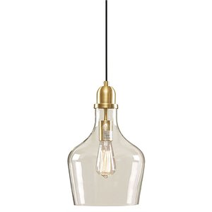 Hampton Hill Auburn 1-light Transitional Glass and Metal Pendant in Gold