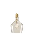 Hampton Hill Auburn 1-light Transitional Glass and Metal Pendant in Gold