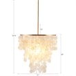 Urban Habitat Isla Transitional Metal and Shells Capiz Chandelier in Gold/White