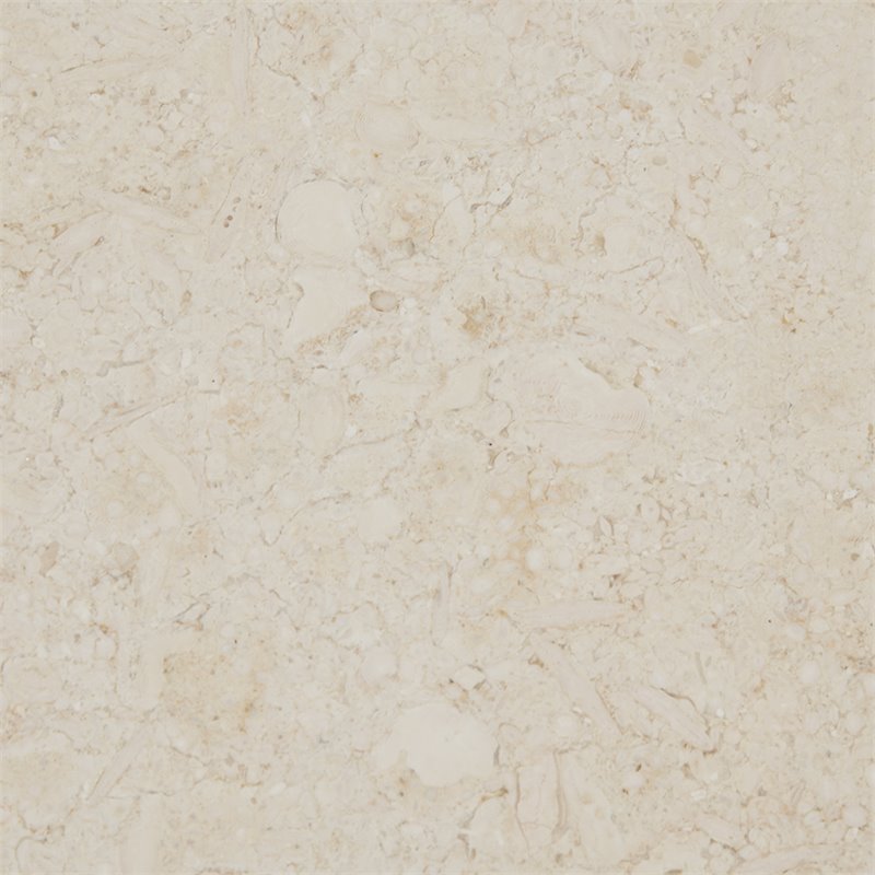 Madison Park Gaberial 11.75