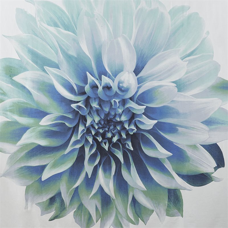 Madison Park Norah Cotton Printed Shower Curtain in Aqua Blue