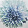 Madison Park Norah Cotton Printed Shower Curtain in Aqua Blue