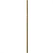 Hampton Hill Melrose Modern Metal Chandelier in Antique Brass/White
