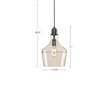 Hampton Hill Auburn 1-Light Transitional Metal and Glass Pendant in Bronze/Clear