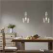 Hampton Hill Auburn 1-Light Transitional Metal and Glass Pendant in Silver