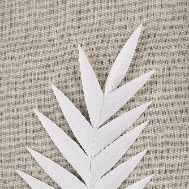 Madison Park Sabal 3-piece Palm Rice Paper Framed Shadow Box in Off White