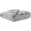 Madison Park Polyester Reversible Plush to Microfiber DA Blanket in Gray