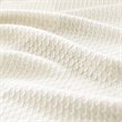 Madison Park 100 Percent Egyptian Cotton Solid Blanket in Ivory